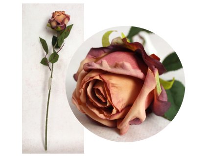 kwiat pojedynczy roza wys 51 112809