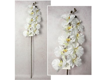 kwiat storczyk wys 100 cm 9 113609