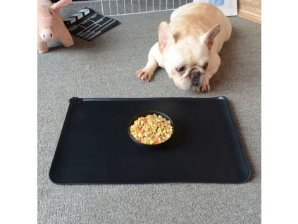 bwbTS51932bffbcdd43a4a51427a8eb326254f