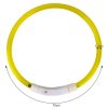 Svítící LED obojek pro psy a kočky s USB nabíjením a nastavitelnou délkou!
