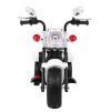 312814 2 motocykl chopper nightbike bily