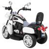 312814 4 motocykl chopper nightbike bily