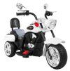 312814 9 motocykl chopper nightbike bily