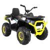 313399 10 ctyrkolka atv desert bila