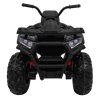 313402 2 ctyrkolka atv desert cerna