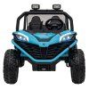 315076 1 buggy faster modra