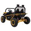 315079 4 buggy faster zluta