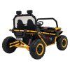 315079 6 buggy faster zluta