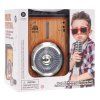 315865 zesilovac s funkci bluetooth mikrofon