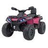 316468 2 ctyrkolka can am outlander atv s pilotem ruzova