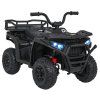 316531 20 ctyrkolka atv robust 01 cerna