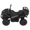 316531 2 ctyrkolka atv robust 01 cerna