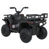 316531 3 ctyrkolka atv robust 01 cerna