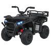 316531 ctyrkolka atv robust 01 cerna