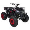 316627 2 spolecenska ctyrkolka 200cc monster cervena