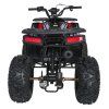 316627 5 spolecenska ctyrkolka 200cc monster cervena