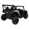 318421 7 buggy gravity 4x4 seda