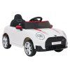 318493 auticko mini cooper bile