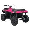 318538 6 ctyrkolka 4x4 atv wolf ruzova