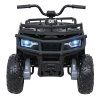318544 ctyrkolka 4x4 atv wolf cerna