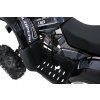 318580 18 ctyrkolka s benzinovym motorem wildpeak 110cc cerna