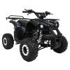 318580 1 ctyrkolka s benzinovym motorem wildpeak 110cc cerna