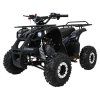 318580 2 ctyrkolka s benzinovym motorem wildpeak 110cc cerna