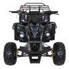 318580 31 ctyrkolka s benzinovym motorem wildpeak 110cc cerna