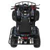 318580 32 ctyrkolka s benzinovym motorem wildpeak 110cc cerna