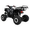 318580 4 ctyrkolka s benzinovym motorem wildpeak 110cc cerna