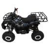 318580 9 ctyrkolka s benzinovym motorem wildpeak 110cc cerna