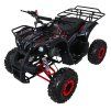 318583 10 ctyrkolka wildpeak 110cc cervena