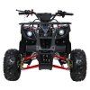 318583 1 ctyrkolka wildpeak 110cc cervena