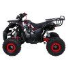 318583 4 ctyrkolka wildpeak 110cc cervena
