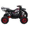 318583 8 ctyrkolka wildpeak 110cc cervena
