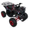 318583 9 ctyrkolka wildpeak 110cc cervena