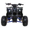 318586 ctyrkolka wildpeak 110cc modra
