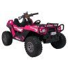 318748 1 vozidlo buggy prospector 4x4 strong ruzove