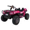 318748 2 vozidlo buggy prospector 4x4 strong ruzove