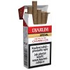 Djarum Special Kretek Filtr Cigarillos 10ks