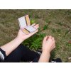zigarettenetui pink fuer 20 zig mit gummiband 4 fach sortiert 12er display~7