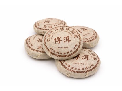 ChatGPT Image 10. 3. 2026 19 19 40