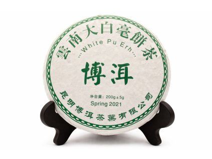 ChatGPT Image 10. 3. 2026 20 39 03