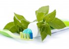 mintperfekt / dentálna hygiena