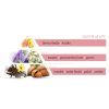 la rive queen of life pyramida