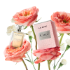 LA RIVE CUTE 02