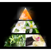 CHARISME pyramid LA RIVE