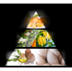 ELIXIR pyramid LA RIVE