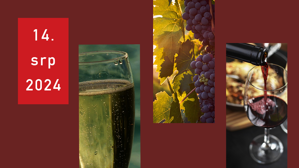 DEGUSTACE ITALSKÝCH VÍN VE STŘEDU 14. SRPNA 2024