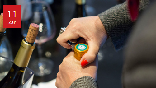 DEGUSTACE VÍN Z LANGUEDOC-ROUSSILLON NA JIHU FRANCIE